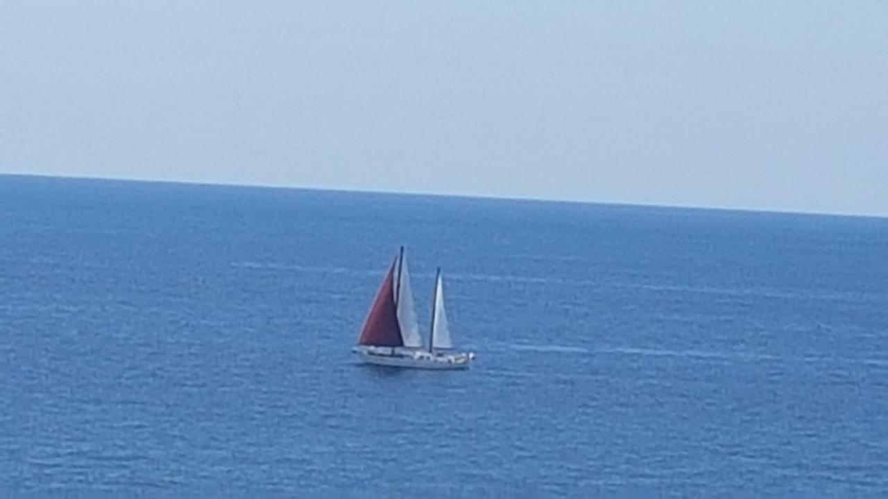 Algarve/Sra Da Rocha Daire Porches  Dış mekan fotoğraf