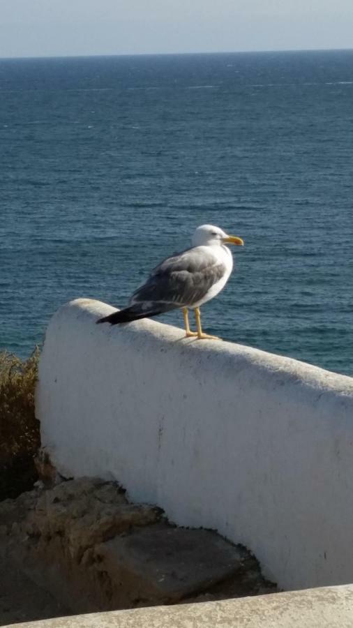 Algarve/Sra Da Rocha Daire Porches  Dış mekan fotoğraf